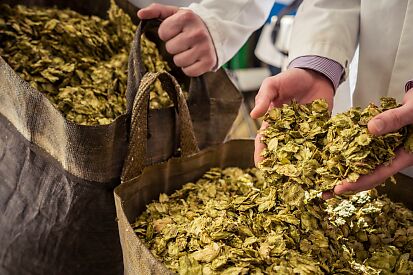 Cask ale: Britain’s original craft beer